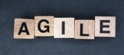 Image for the Agile