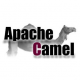 Image for the Apache Camel Training in China | NobleProg China