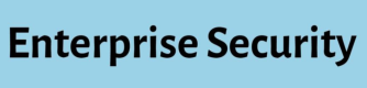 Image for the Enterprise Security