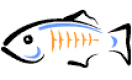 GlassFish培训