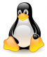 Linux Training in China