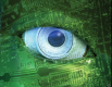 Machine Vision Training in China