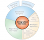 Image for the SSIS